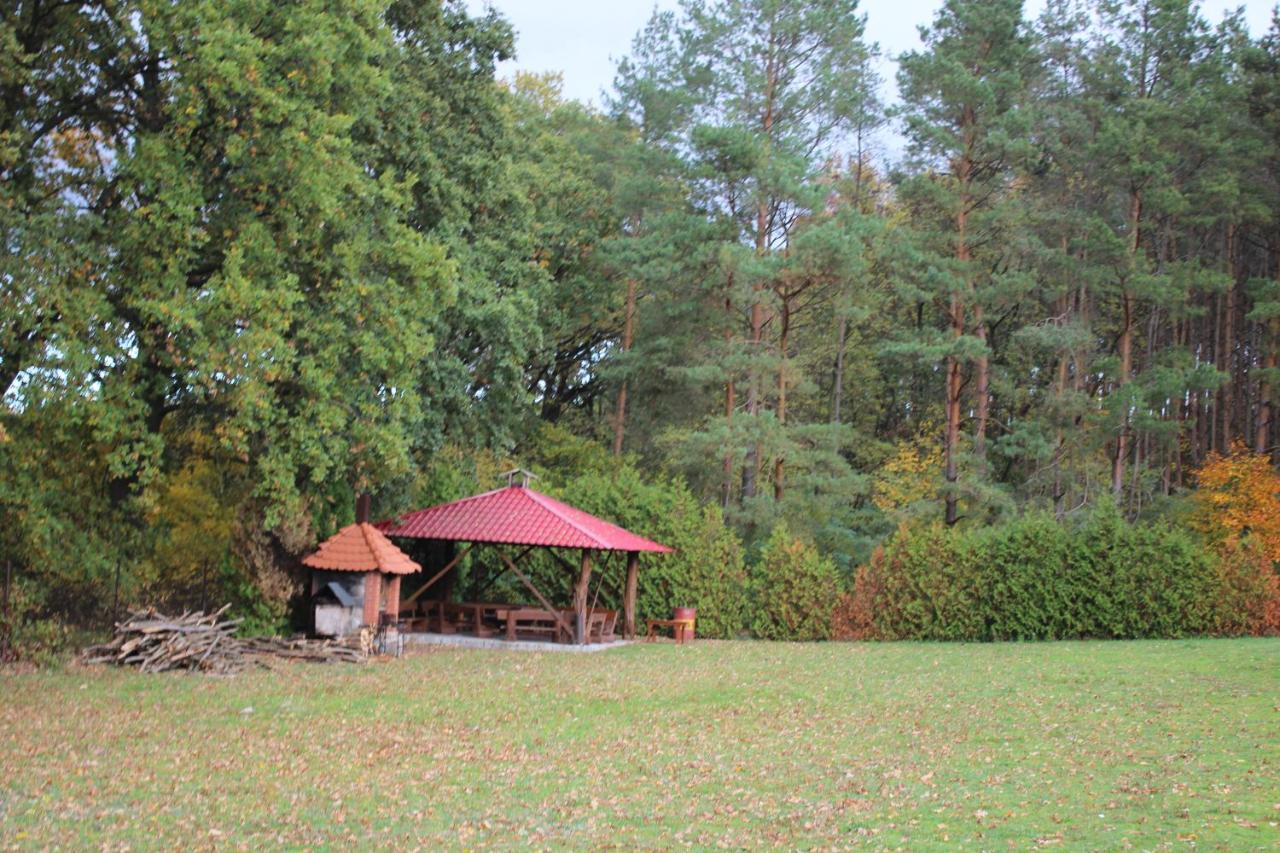 Gospodarstwo Agroturystyczne Agroletnica Swidnica  Екстер'єр фото